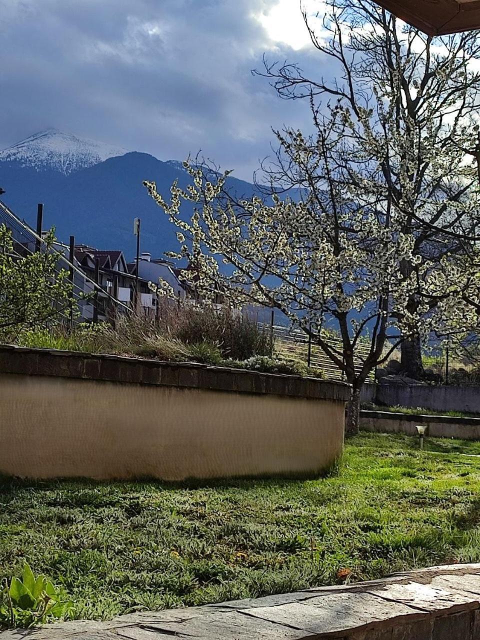 Belvedere Holiday Club Spa&Ski Private Apartments Bansko Bagian luar foto